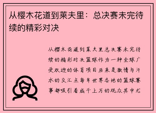 从樱木花道到莱夫里：总决赛未完待续的精彩对决